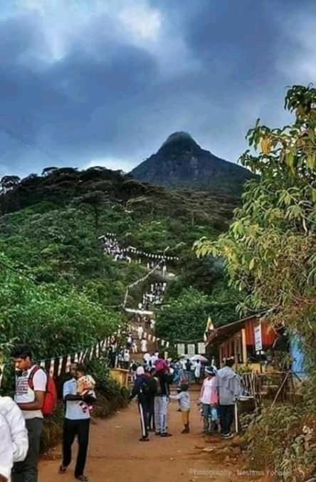 Lily Adam'S Peak Bed and Breakfast Nallathanniya Eksteriør billede