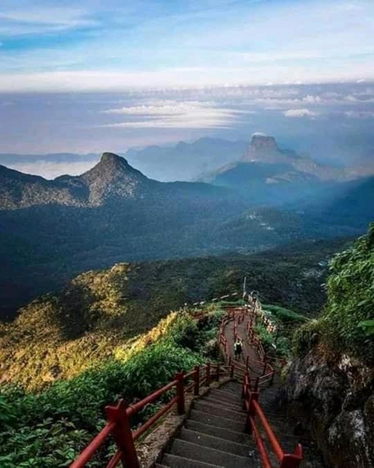 Lily Adam'S Peak Bed and Breakfast Nallathanniya Eksteriør billede