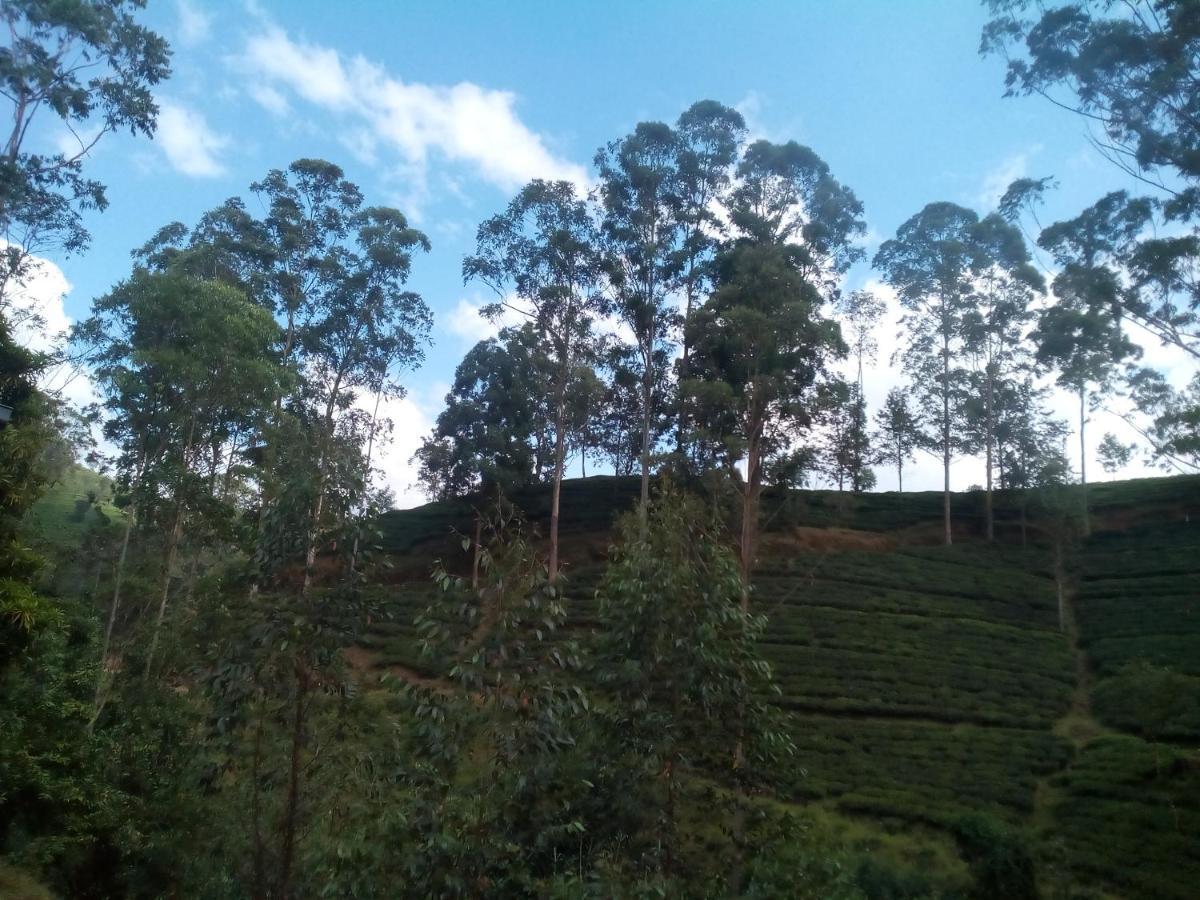 Lily Adam'S Peak Bed and Breakfast Nallathanniya Eksteriør billede