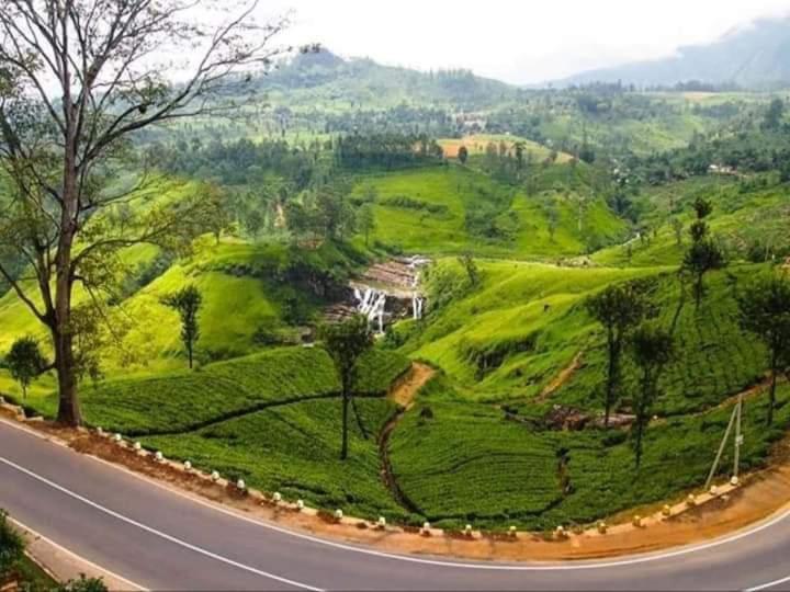 Lily Adam'S Peak Bed and Breakfast Nallathanniya Eksteriør billede