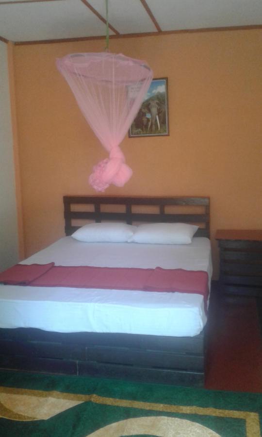 Lily Adam'S Peak Bed and Breakfast Nallathanniya Eksteriør billede