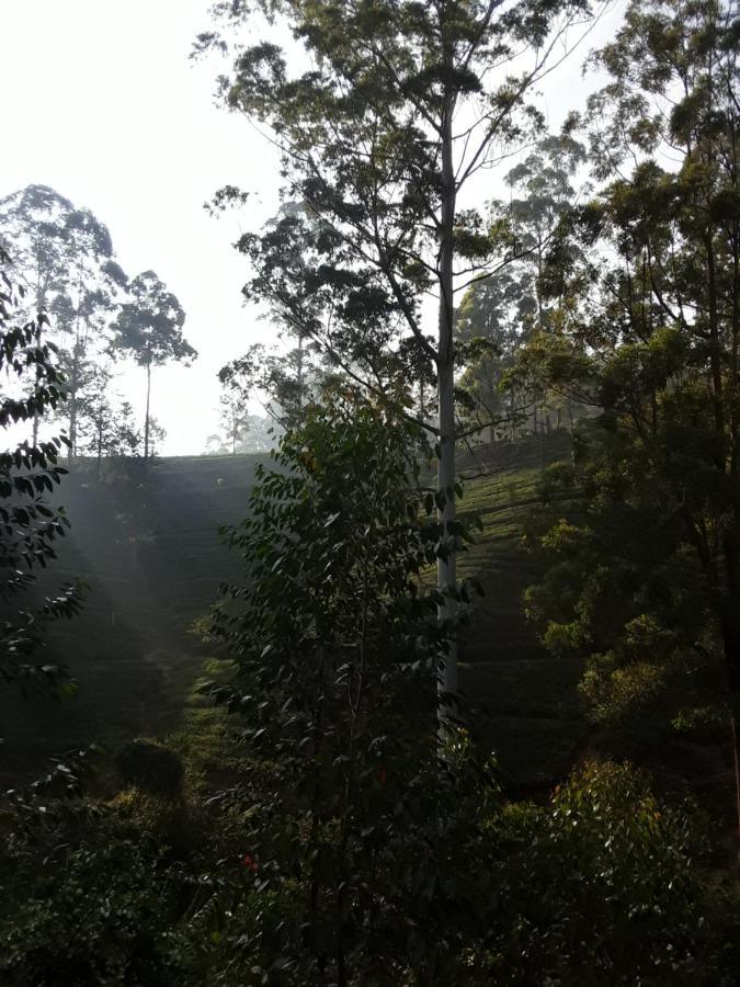 Lily Adam'S Peak Bed and Breakfast Nallathanniya Eksteriør billede
